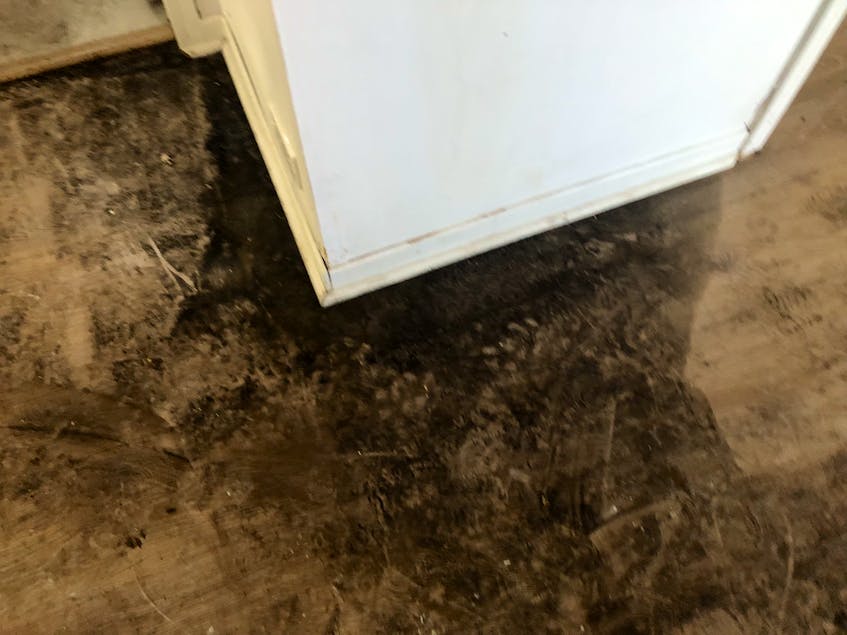 A part of the floor in the kitchen of the home at 69 Rockdale Ave. in Sydney is black with what appears to be mildew or mould. The black substance was seen throughout the home in June. When Varunkumar Patel was given a virtual tour of the property by the realtor before purchasing it in April 2022, there was no sign of mould or mildew. - Nicole Sullivan