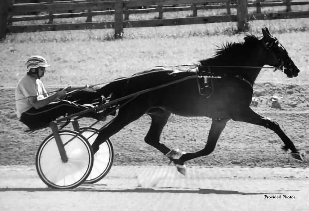 Robert Walker training horses