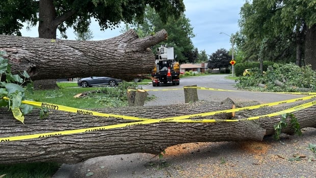 Power restored in Ottawa after last week's severe weather