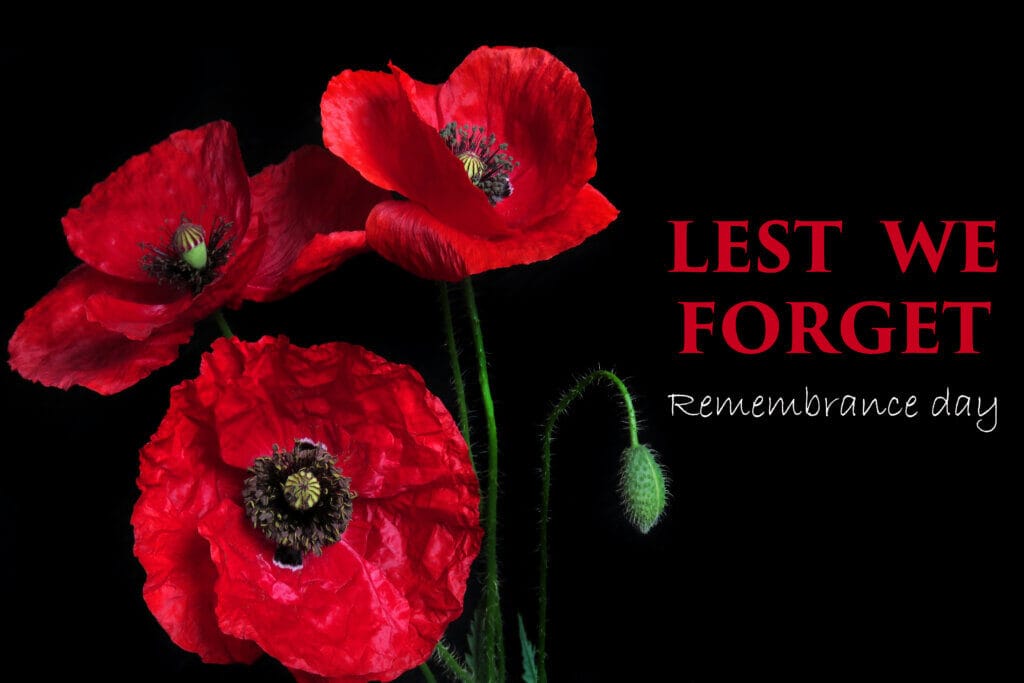 IBEW37 | New Brunswick - Remembrance Day Message