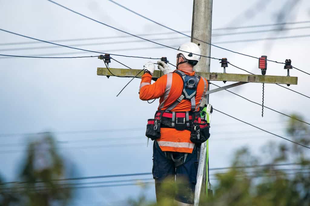 Electrical Safety Authority urges vigilance after 50 per cent jump in powerline fatalities