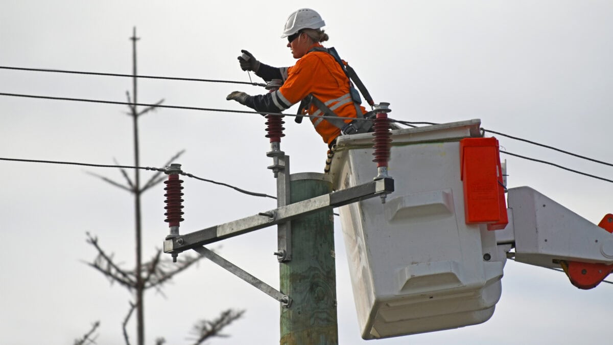 Florida must strengthen its electrical grid before it’s too late