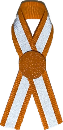 dom ribbon[1]